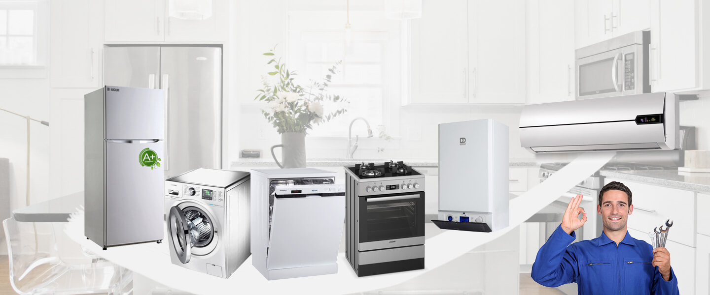 Güce Electrolux Servisi